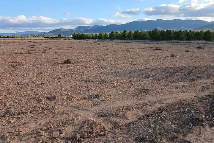 Terreno en venta en Yecla photo 0