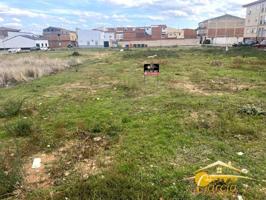 Terreno en venta en Calamonte, Calle Nuestra Señora de Guadalupe, 06810 photo 0