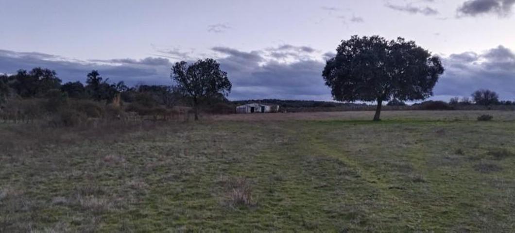 Casa con terreno en venta en Casar de Cáceres, Extremadura photo 0