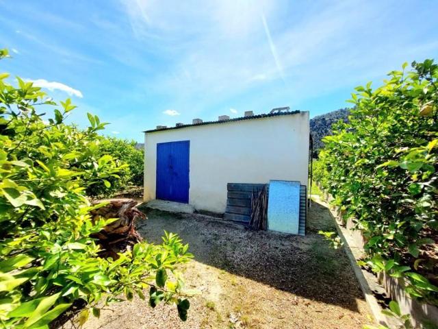 Terreno en venta en Murcia, Los Ramos photo 0