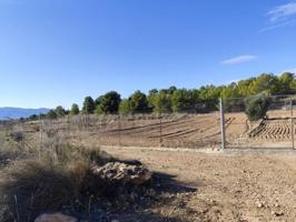 Parcela en venta en Aledo, Montisol photo 0
