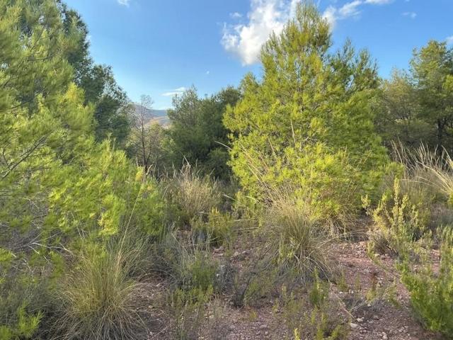 Parcela en venta en Totana, Totana photo 0