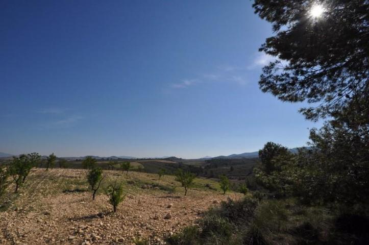 Parcela en venta en Jumilla, Jumilla photo 0