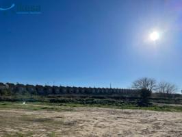 Terreno en venta en La Palma del Condado, Centro photo 0