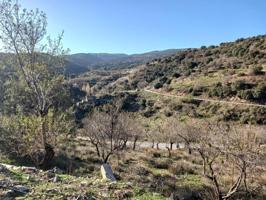Terreno en venta en Macael, Macael photo 0