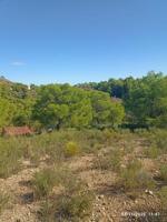 Terreno en venta en Totana, Morti photo 0