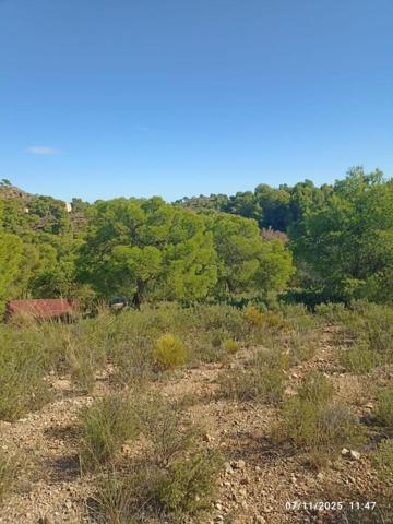 Terreno en venta en Totana, Morti photo 0