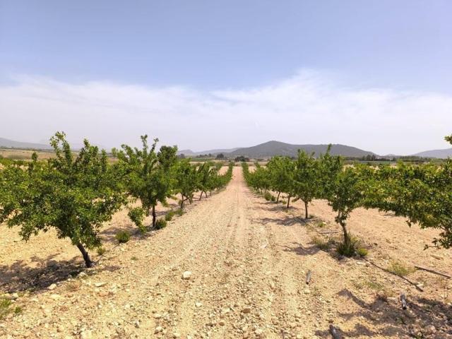 Parcela en venta en Úbeda, Andalucia photo 0