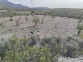 Terreno en venta en Lorca, La Hoya-Almendricos-Purias photo 0
