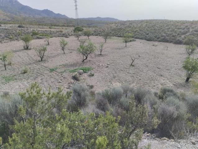 Terreno en venta en Lorca, La Hoya-Almendricos-Purias photo 0
