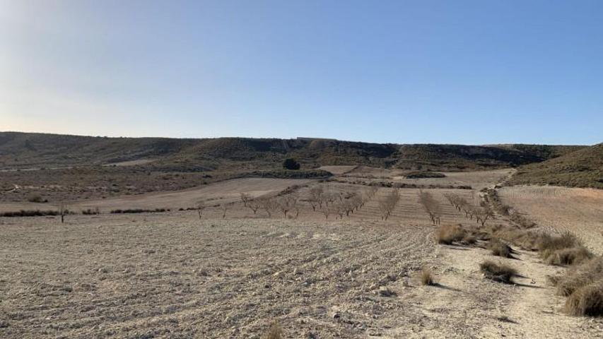 Terreno en venta en Mazarrón, Camposol photo 0