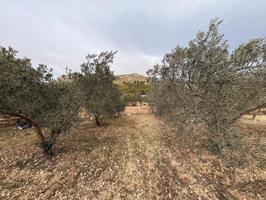 Terreno en venta en Onil photo 0