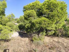 Terreno en venta en Totana, Morti photo 0