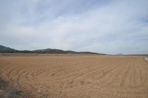 Parcela en venta en Monovar-Monover, Comunidad valenciana photo 0