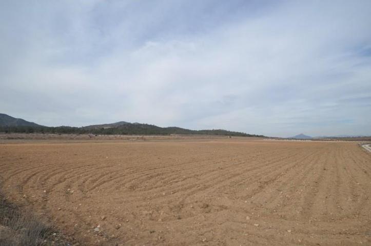 Parcela en venta en Monovar-Monover, Comunidad valenciana photo 0