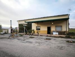 Chalet en venta en Pozuelo de Calatrava, Pozuelo De Calatrava photo 0