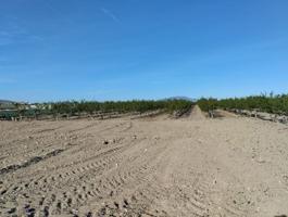 Terreno en venta en Totana, Lebor photo 0