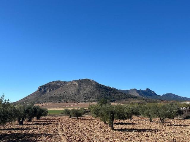 Parcela en venta en La Romana, Comunidad valenciana photo 0