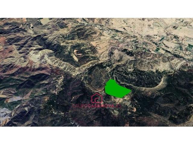 Terreno en venta en Lorca photo 0