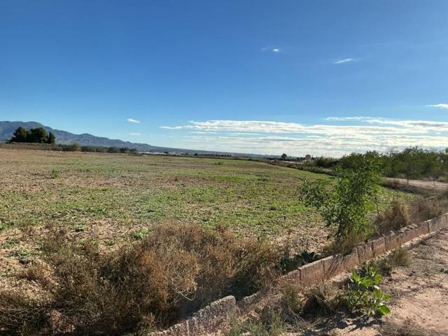 Terreno en venta en Totana, Totana photo 0