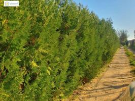 Chalet en venta en Aznalcázar, Área de Aznalcázar photo 0