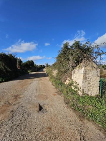 Terreno en venta en Felanitx, S HORTA photo 0