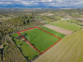 Terreno en venta en Llubí, Llubi photo 0