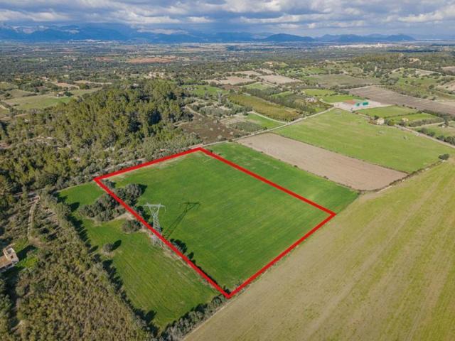 Terreno en venta en Llubí, Llubi photo 0