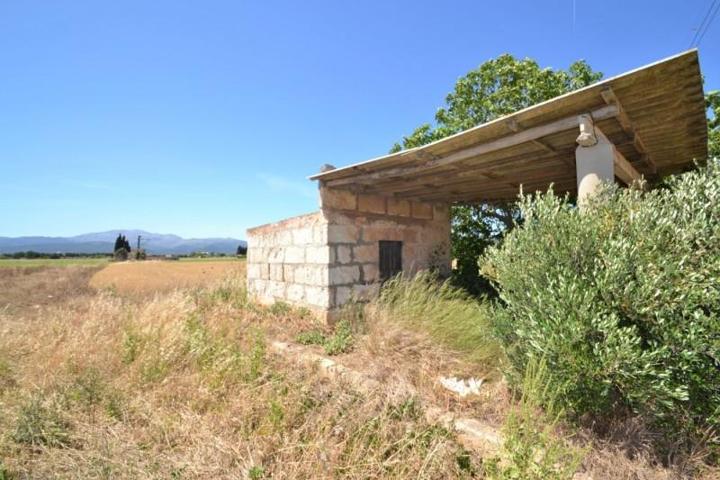 Chalet en venta en Muro, Muro photo 0