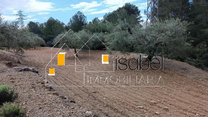 Terreno en venta en Castellvell del Camp, Partida Serres photo 0
