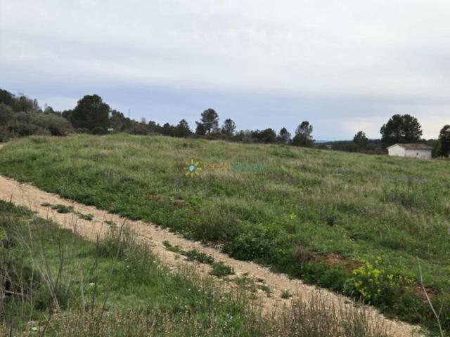 Terreno en venta en Benigànim, A las afueras photo 0
