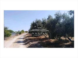 Terreno en venta en Archidona, Archidona photo 0