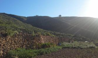 Terreno en venta en Arona, Tenerife photo 0