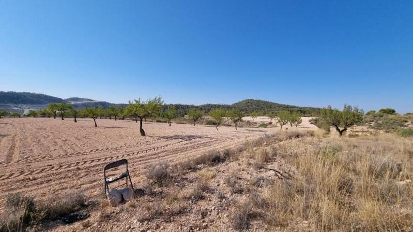 Terreno en venta en Abanilla, ABANILLA photo 0