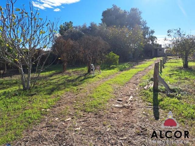 Parcela en venta en Vinaròs, Nacional photo 0