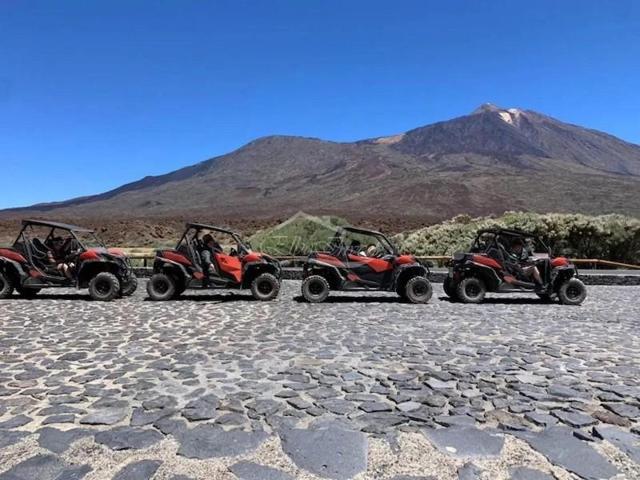 Local comercial en venta en Santiago del Teide photo 0