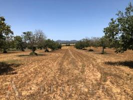 Terreno en venta en Manacor photo 0