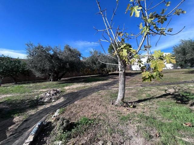 Casa en venta en Villanueva de Algaidas, La Atalaya photo 0