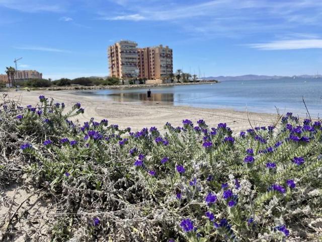 Apartamento en venta en La Manga del Mar Menor, CL POLIGONO G - MA, 1407, 30380 photo 0