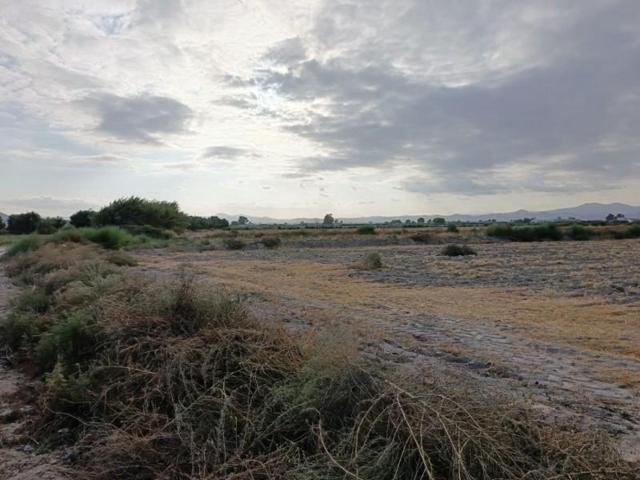 Terreno en venta en Lorca, Escucha photo 0