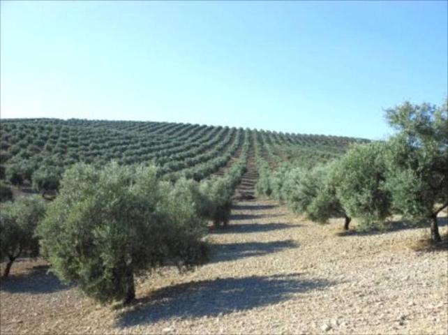 Terreno en venta en Iznájar, Iznájar photo 0