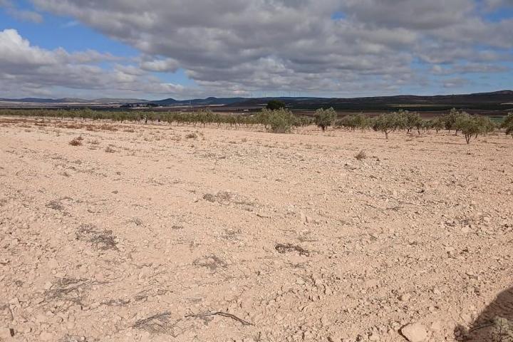 Terreno en venta en Yecla photo 0