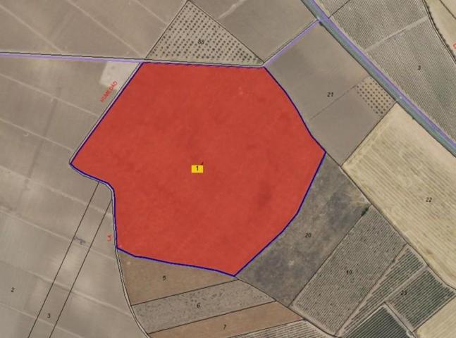 Parcela en venta en Yecla, Ayuntamiento photo 0