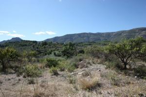 Parcela en venta en Murla photo 0