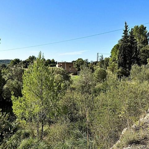 Terreno en venta en Puigpunyent, Galilea photo 0