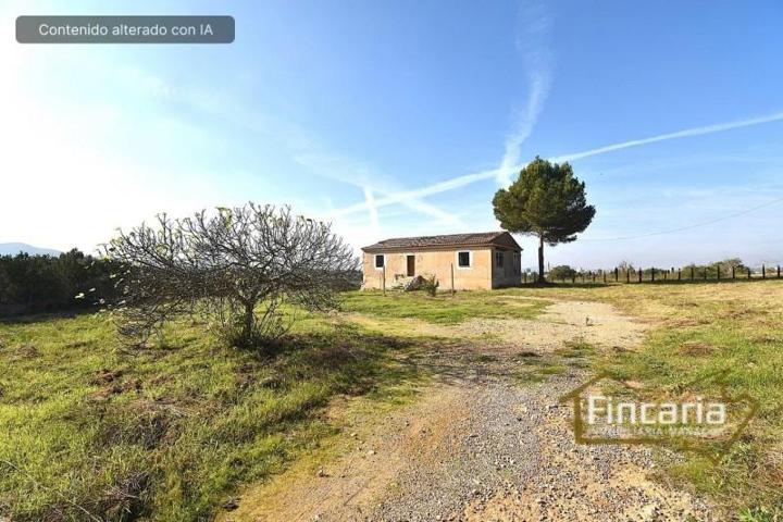 Casa con terreno en venta en Manacor, Carretera Manacor-Porto Cristo, 07500 photo 0