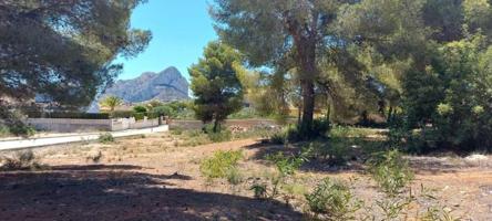 Parcela en venta en Calpe, Saladar photo 0