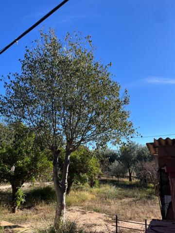 Chalet en venta en San Vicente del Raspeig, Boqueres photo 0