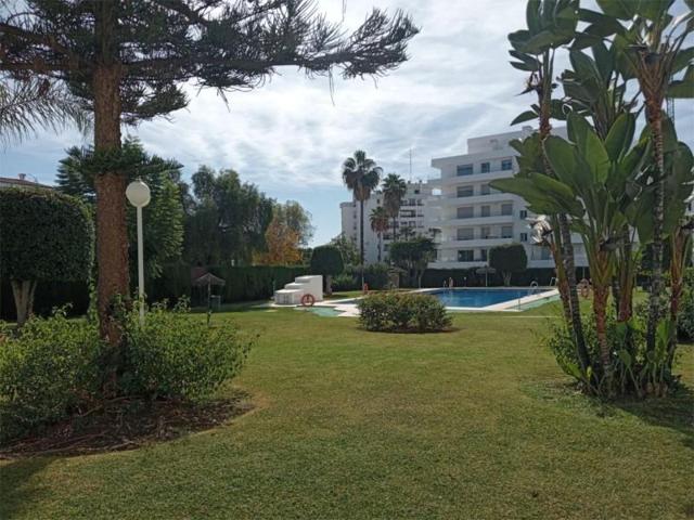 Planta baja en venta en Marbella, Nueva Andalucia photo 0