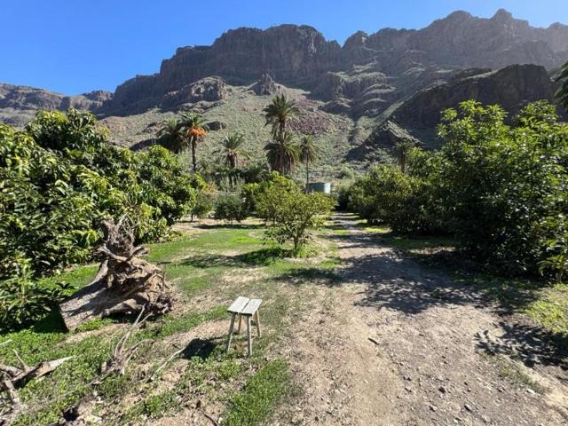 Casa con terreno en venta en San Bartolomé de Tirajana, San Bartolomé Interior photo 0